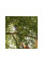 Черенок алюминиевый телескопический М 119-174см OneClick FISKARS