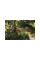 Секатор плоскостной FISKARS Xseries PowerGear L P961