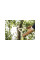 Сучкорез контактный L32 FISKARS