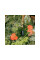 Совок OneClick FISKARS