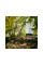 Грабли для уборки клумб OneClick FISKARS