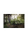 Грабли Solid FISKARS