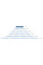 Уровень 400мм магнитный EXPERT STARTUL (SE4550-040)