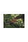 Секатор плоскостной FISKARS Plus P521
