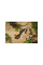 Ножницы многофункциональные SP 341 Solid FISKARS