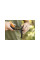 Ножницы многофункциональные SP 341 Solid FISKARS