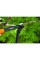 Сучкорез контактный L31 FISKARS PowerGear малый
