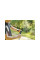 Сучкорез универсальный UPX82 FISKARS PowerGear