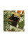 Ножницы для цветов SP13 FISKARS