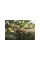 Секатор плоскостной FISKARS Xseries PowerGear M P921