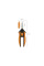 Ножницы для цветов SP13 FISKARS