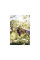 Секатор плоскостной FISKARS Xseries PowerGear L P961