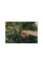 Секатор контактный FISKARS Xseries PowerGear L P941