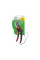 Секатор плоскостной STARTUL GARDEN (ST6093-08)
